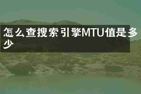 怎么查搜索引擎MTU值是多少