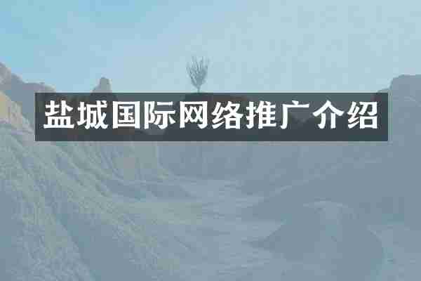 盐城国际网络推广介绍