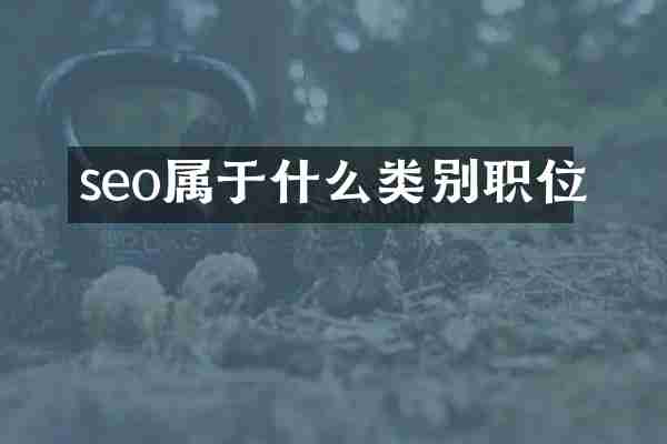 seo属于什么类别职位