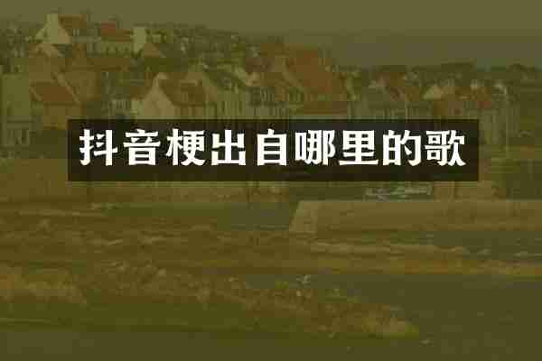 抖音梗出自哪里的歌