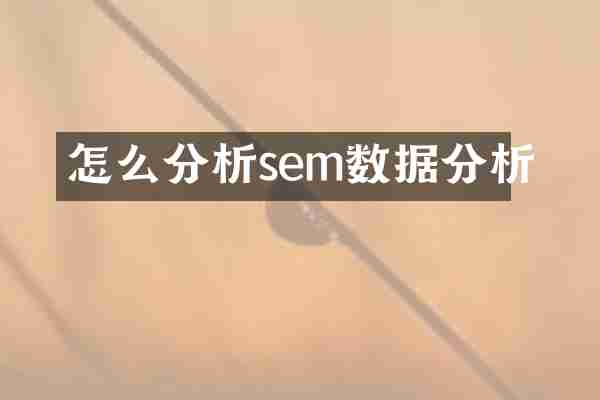 怎么分析sem数据分析