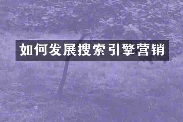 如何发展搜索引擎营销