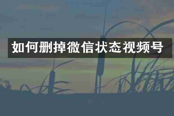如何删掉微信状态视频号