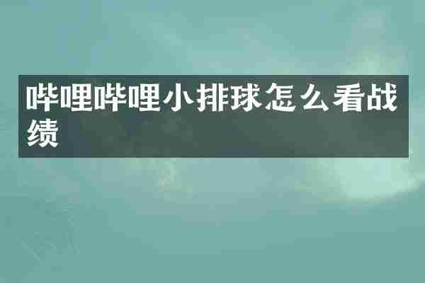 哔哩哔哩小排球怎么看战绩