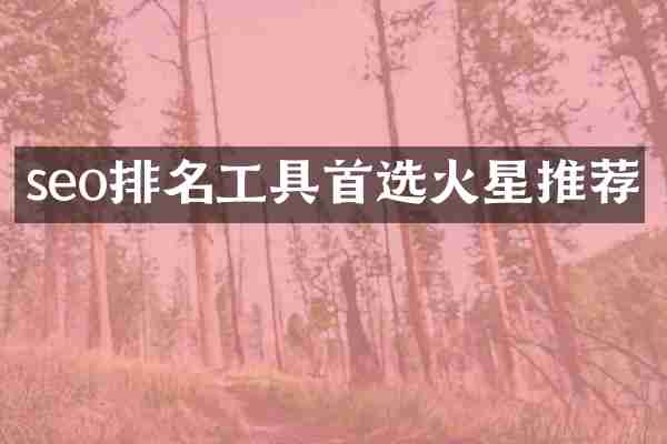 seo排名工具首选火星推荐