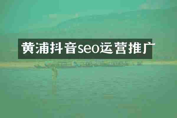 黄浦抖音seo运营推广