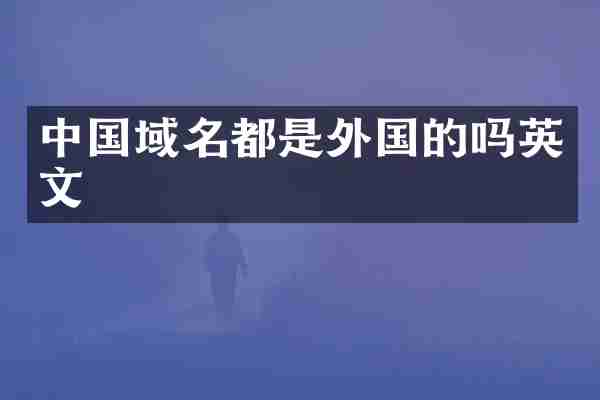 中国域名都是外国的吗英文