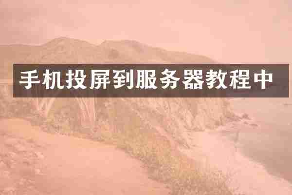 手机投屏到服务器教程中