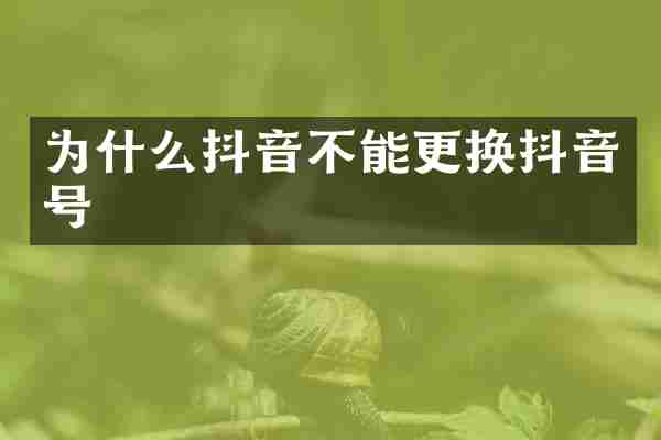 为什么抖音不能更换抖音号