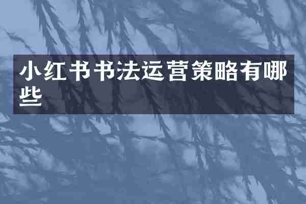小红书书法运营策略有哪些