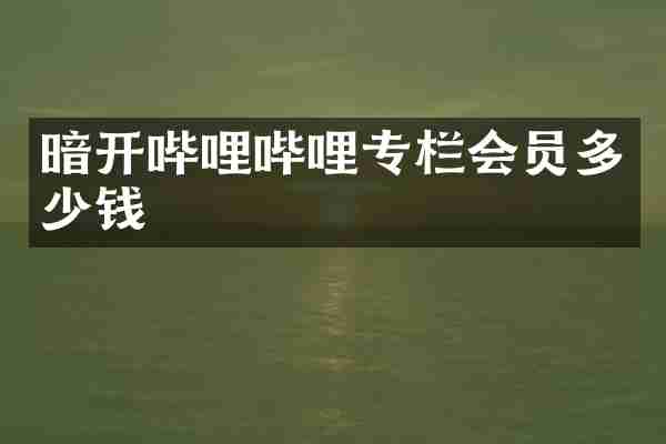 暗开哔哩哔哩专栏会员多少钱