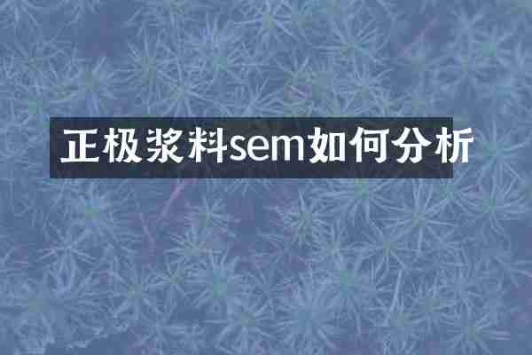 正极浆料sem如何分析