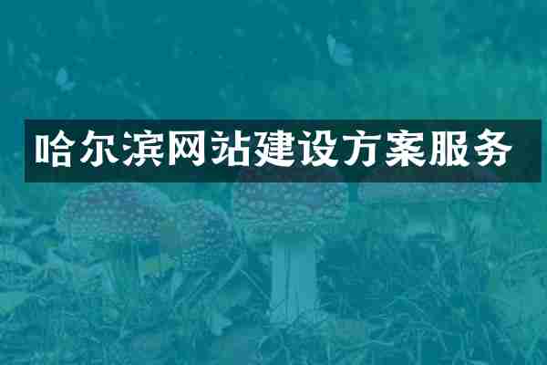 哈尔滨网站建设方案服务