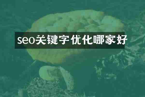 seo关键字优化哪家好