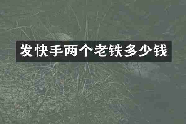 发快手两个老铁多少钱