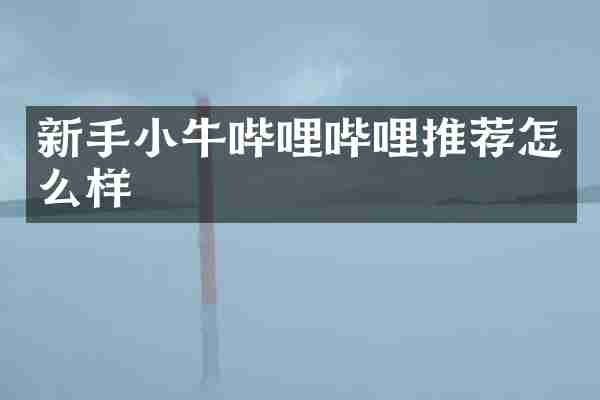 新手小牛哔哩哔哩推荐怎么样