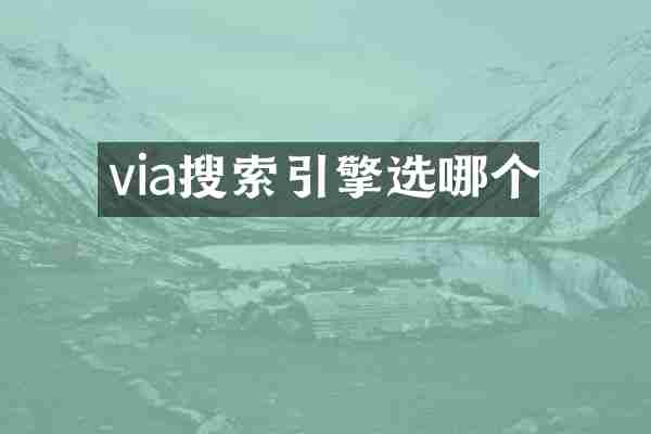 via搜索引擎选哪个