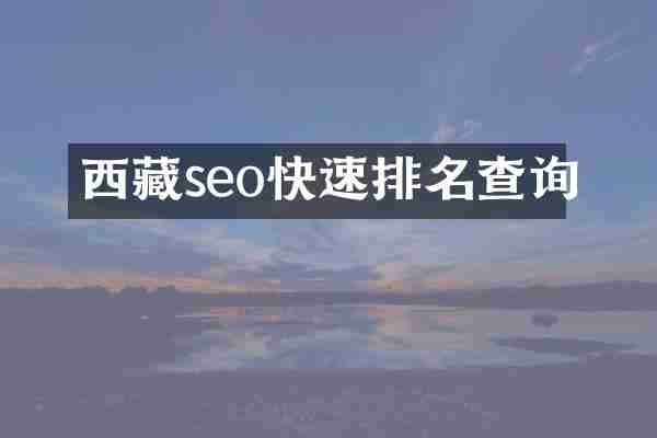 西藏seo快速排名查询