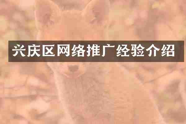 兴庆区网络推广经验介绍