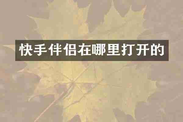快手伴侣在哪里打开的