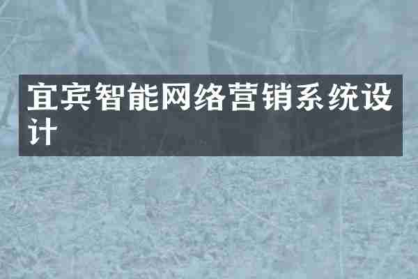 宜宾智能网络营销系统设计
