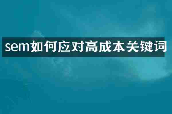 sem如何应对高成本关键词