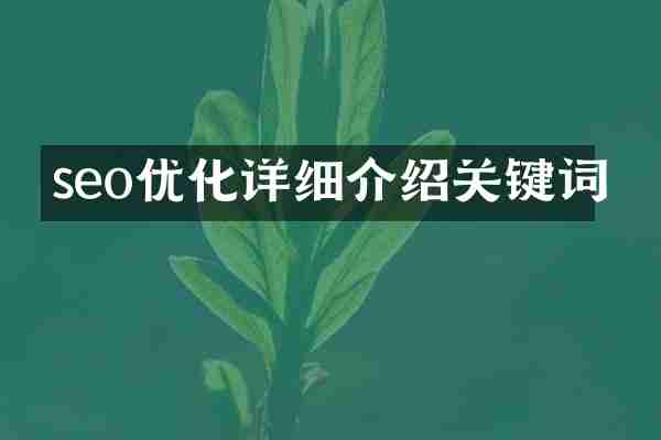 seo优化详细介绍关键词