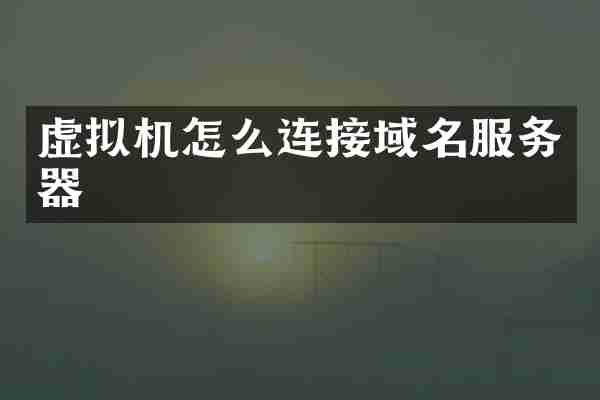 虚拟机怎么连接域名服务器