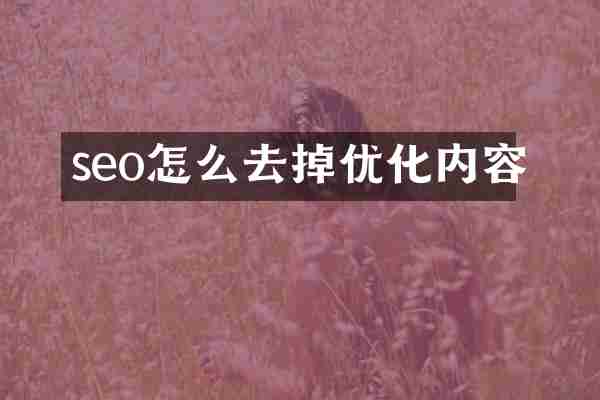 seo怎么去掉优化内容