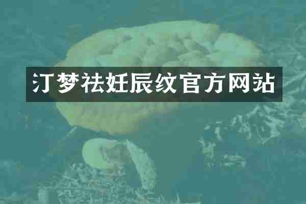 汀梦祛妊辰纹官方网站