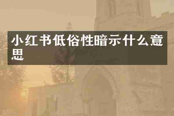 小红书低俗性暗示什么意思