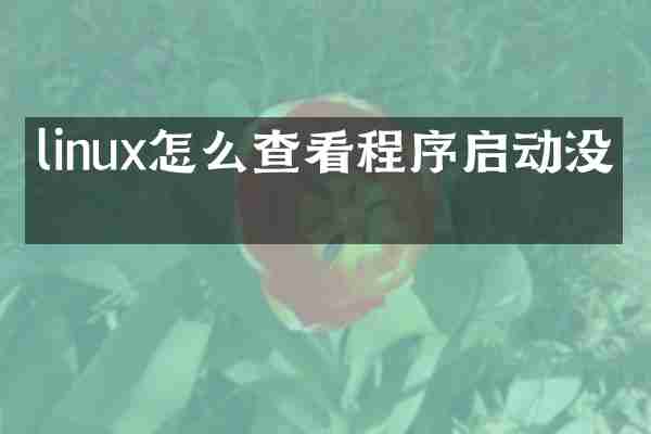linux怎么查看程序启动没有