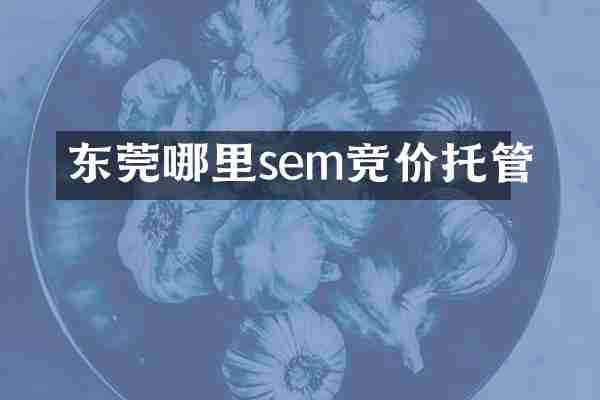 东莞哪里sem竞价托管