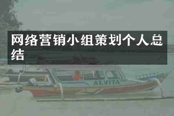 网络营销小组策划个人总结