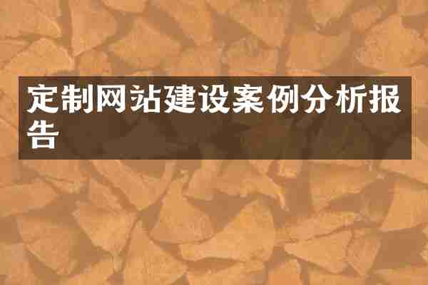 定制网站建设案例分析报告