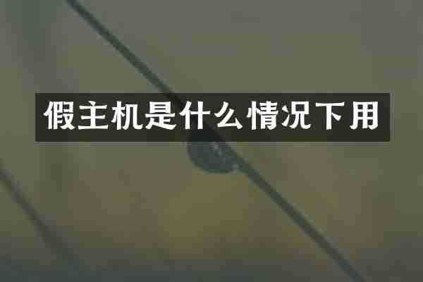 假主机是什么情况下用