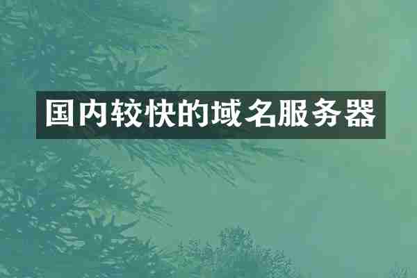国内较快的域名服务器