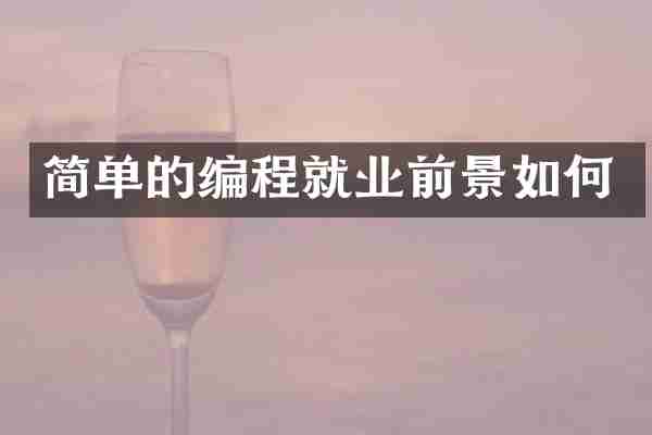 简单的编程就业前景如何