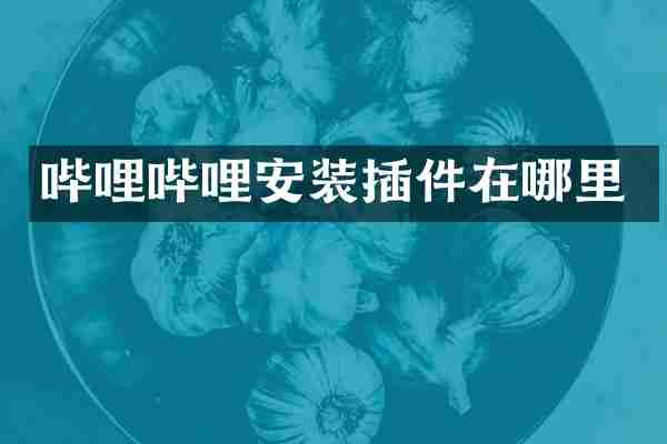 哔哩哔哩安装插件在哪里