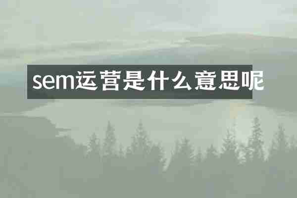 sem运营是什么意思呢