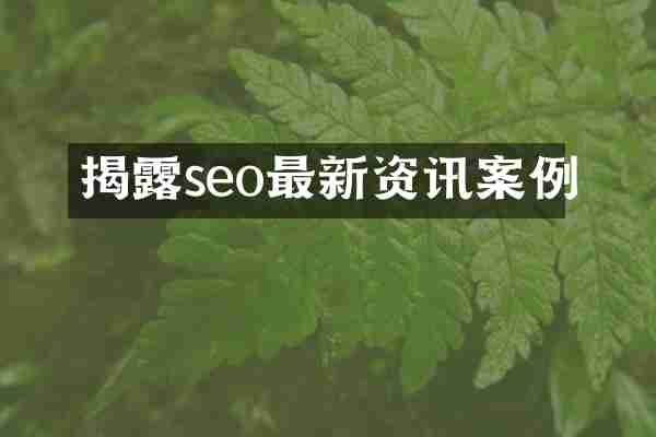 揭露seo最新资讯案例