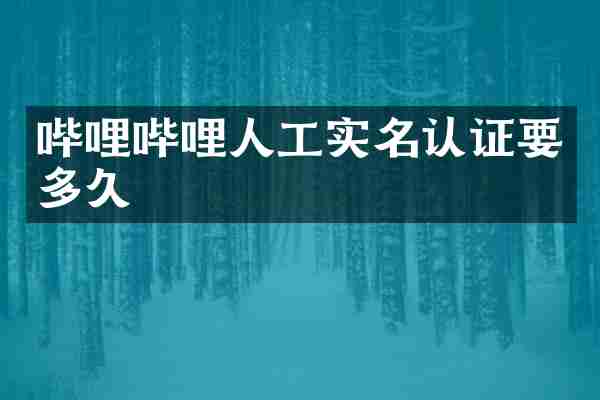 哔哩哔哩人工实名认证要多久