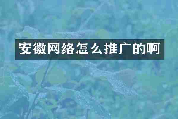 安徽网络怎么推广的啊