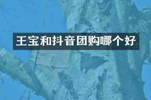 王宝和抖音团购哪个好