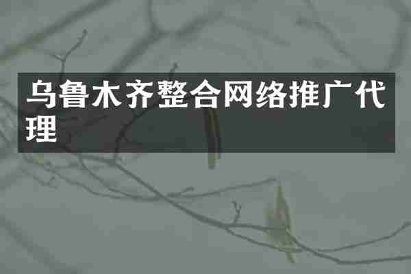 乌鲁木齐整合网络推广代理