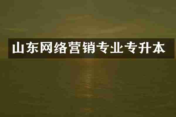 山东网络营销专业专升本