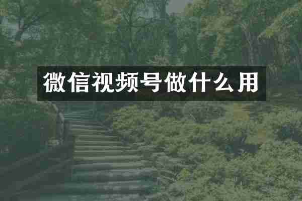 微信视频号做什么用