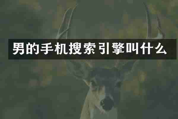 男的手机搜索引擎叫什么