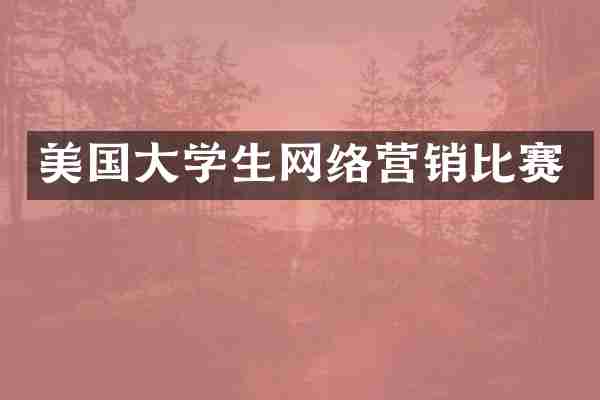 美国大学生网络营销比赛