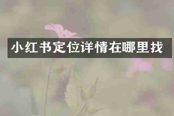小红书定位详情在哪里找